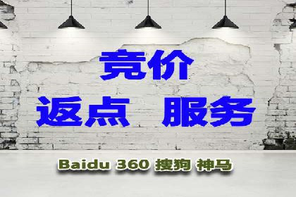 推广竞价策略优化：借鉴成功案例实现高效转化