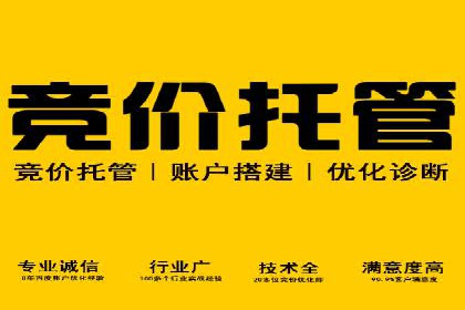 百度推广运营成功故事：品牌与效果的双重胜利